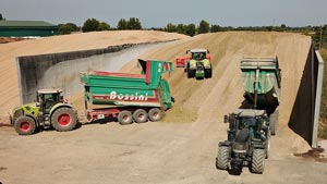 Lavorazioni agricole conto terzi Baschirotto - Nogara