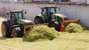 Lavorazioni agricole conto terzi Baschirotto - Nogara
