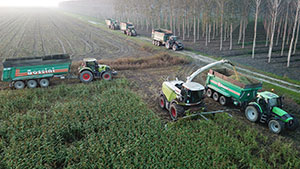 Lavorazioni agricole conto terzi Baschirotto - Nogara